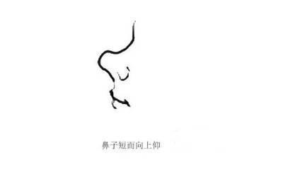 鼻子短面相分析 鼻子短到底是什么意思