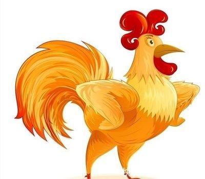鸡喜欢的生肖是什么 属鸡人与哪几个生肖能配