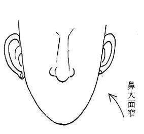 鼻子面相图解 鼻子面相最全面的解析