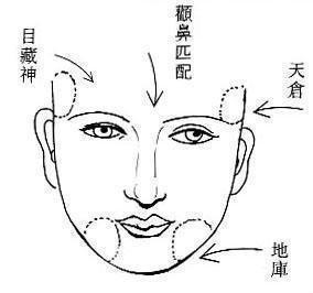 鼻子面相图解 鼻子面相最全面的解析