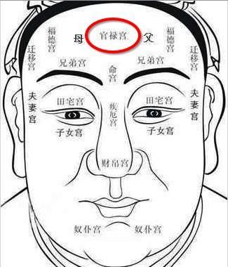 鼻子面相如何看婚姻 通过鼻子看婚姻好坏