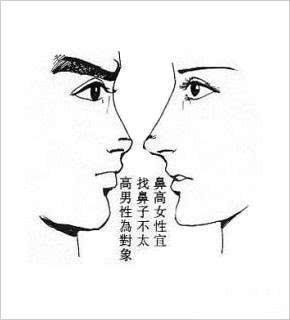 鼻子面相看人生运程 命好的人鼻子长啥样