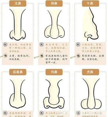 鼻子面相解析什么是龙鼻 龙鼻的人命运如何