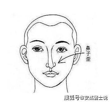 鼻梁有点歪的人的面相解析 鼻梁歪的人命运好不好