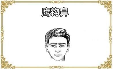 鹰钩鼻的男人能不能嫁 男人长鹰钩鼻好吗
