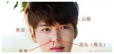 鼻梁高在面相中意味着什么 高鼻梁面相有哪些含义
