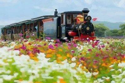 龙和虎相配吗 属虎人最不适合与什么生肖一起