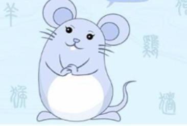 蛇年出生的人多大 今年属虎人几岁了