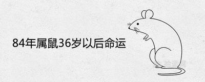 蛇年出生的人是什么命 属鼠人的命运好不好