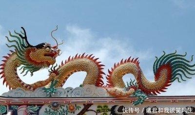 蛇年出生的人命运如何 分析属猪人一生运势