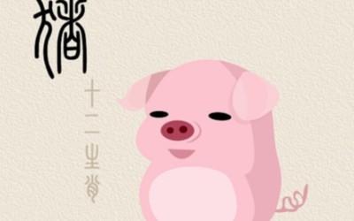 蛇年出生的人的命运 属兔人一生运势好坏分析