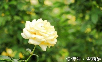 蛇年出生的人命运如何男人 属蛇男一生命运好不好 蛇年出生的人命运如何男人 属蛇男一生命运好不好