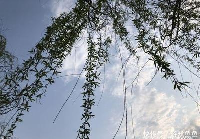 蛇年出生的人命运如何男人 属蛇男一生命运好不好