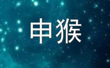 蛇年出生的人和哪些生肖合作财运最好 蛇年出生的人和哪些生肖合作财运最好