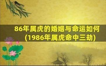 蛇年出生的人的命运如何 分析属虎人一生运势