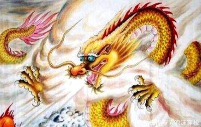 蛇年出生的人财运如何看生肖的性格