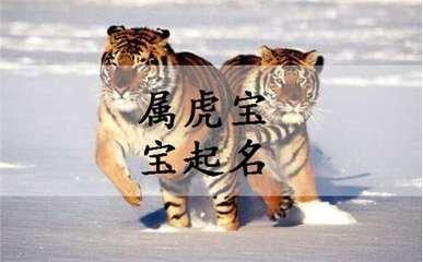 蛇年出生的男孩取什么名字好 属虎男孩好名字分享