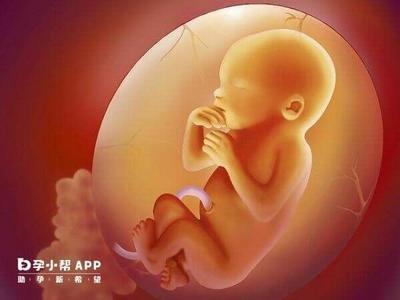 蛇年宝宝几月出生好 什么月份生的属猴人好命