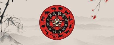蛇年属猴人的运势怎么样 属猴人怎么改变运势