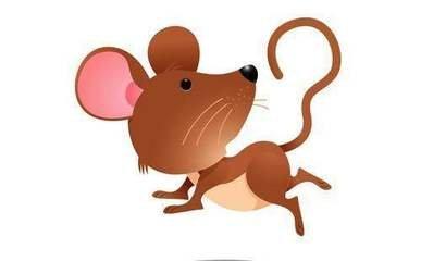 蛇年属鼠人的运势怎么样 属鼠人怎么改变运势