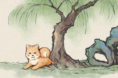 蛇年是哪年,生肖属狗的人是哪年出生