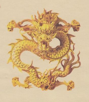 蛇年生人属龙的人如何改变命运,属龙禁忌生肖