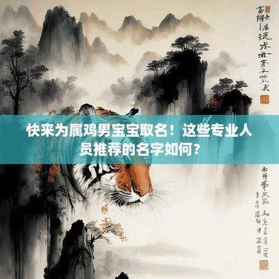 蛇年男宝宝取名大全 属鸡的男孩子取什么名字