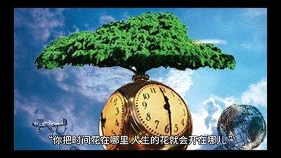 蛇年的宝宝人生运势怎么样 属马人命运好不好