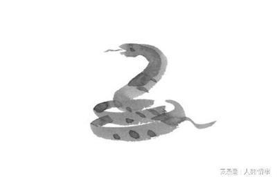 蛇年运势提升明显 事业走捷径 赚钱效率高的生肖
