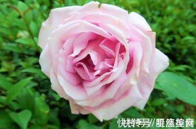 龙蛇生肖相配吗 属龙人和哪些生肖更配