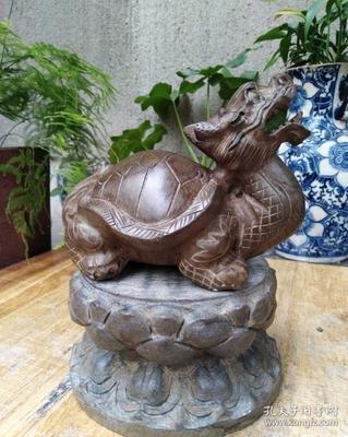 龙龟摆件如何摆放，龙龟的摆放方法及禁忌
