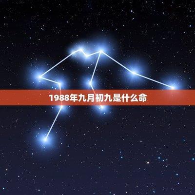 命理分析寅时出生的好不好 寅时出生人的命运如何