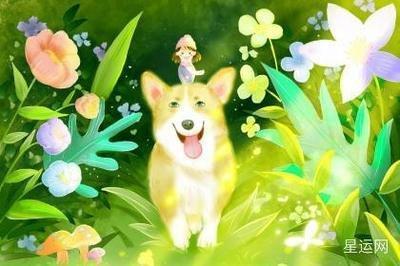 勤奋好学什么生肖  特别勤奋的生肖