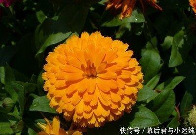 天秤座2025年会遭遇什么劫 今年的运势好不好