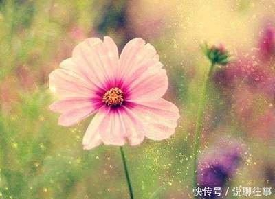 天秤座2025年会遭遇什么劫 今年的运势好不好