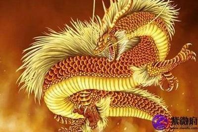 1988年属什么 88年属龙人与什么属相相配