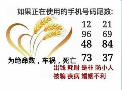 1988年8月21日晚上21-23点出生性格、运势和命运