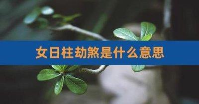 劫煞是什么意思(日柱劫煞是什么意思)