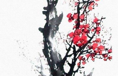 天生穷相  什么面相的女人一生贫穷