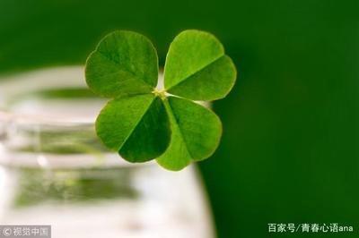 如何运气(怎么样运气才会越来越好)