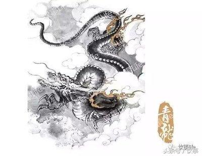 易经中青龙代表什么(7在易经代表什么意思)