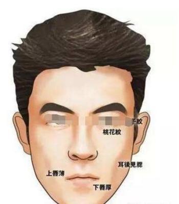 无鼻尖面相运势发展怎么样 无鼻尖的人运势好不好