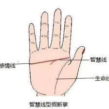 断掌纹的人好不好 手相断掌代表着什么