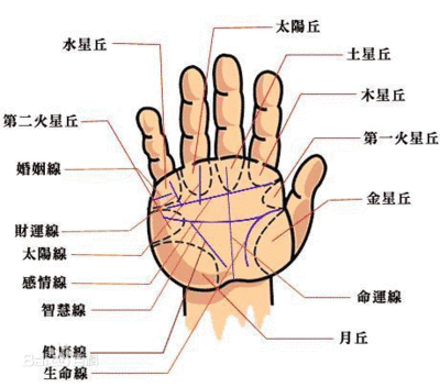 断掌纹看命运 有断掌纹的人命好吗