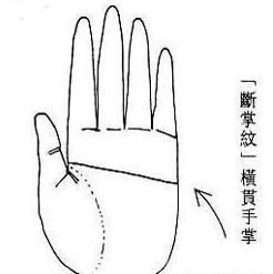 断掌都是富贵之人 别在说断掌不好了
