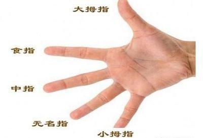 招财相学手相有哪些 什么手相的人财运好