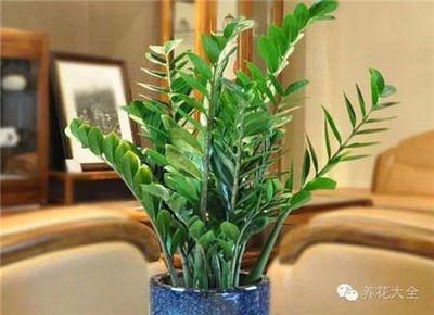 招财风水方法有哪些 这几种住宅聚财