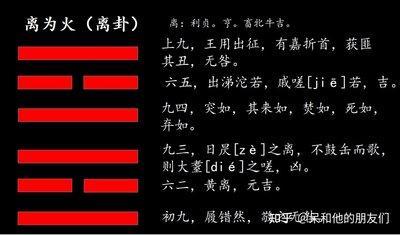 易经第三十卦 离 离为火 离上离下