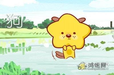 无情的是什么生肖 最无情是哪几个生肖