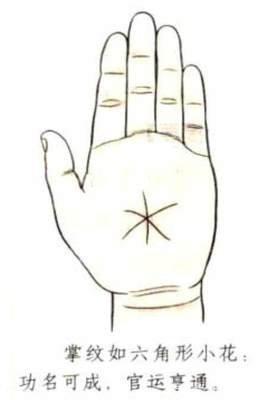 能当大官的手相通常有哪些特征官运亨通